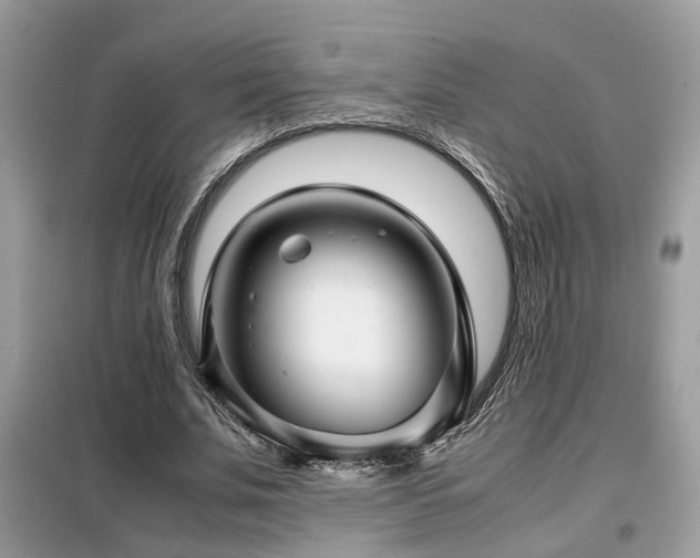 X0000099410679200805091220