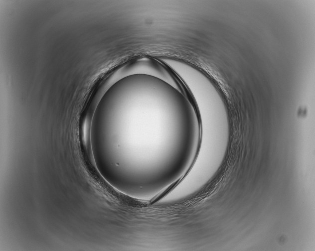 X0000099410681200805091220