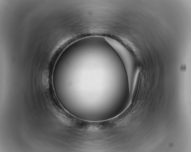 X0000099410684200805091220