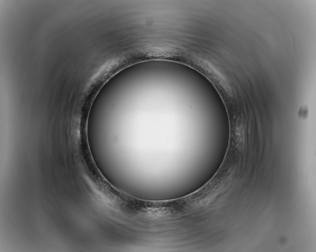 X0000099410686200805091219