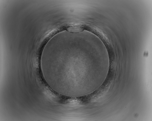 X0000099410689200805091219