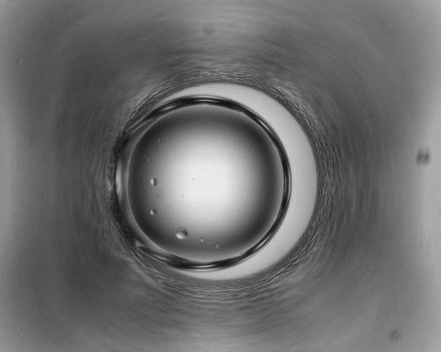 X0000099410691200805091219