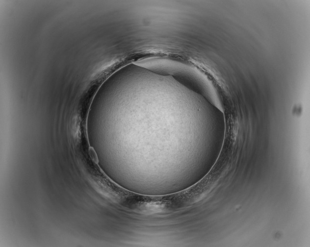 X0000099410692200805091219