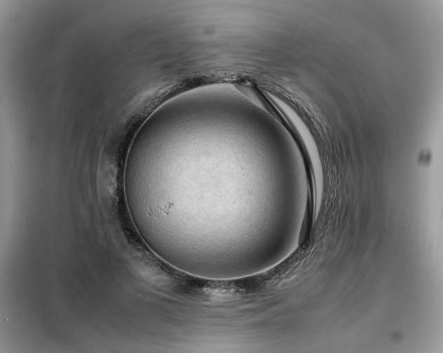 X0000099410693200805091219