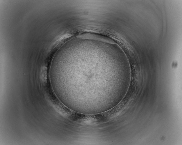 X0000099410696200805091219