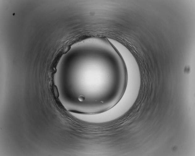 X0000099410699200805091219