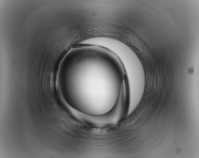 X0000099410700200805091219