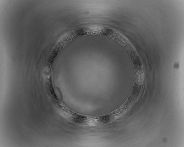 X0000099410701200805091219