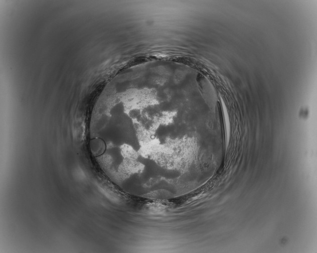 X0000099410703200805091219