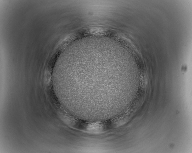 X0000099410705200805091219