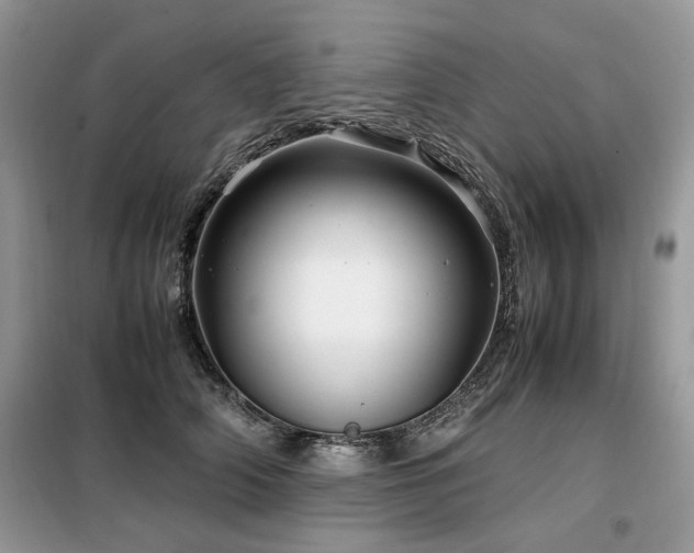 X0000099410706200805091219