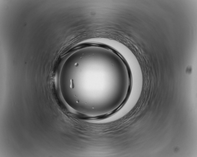 X0000099410707200805091219