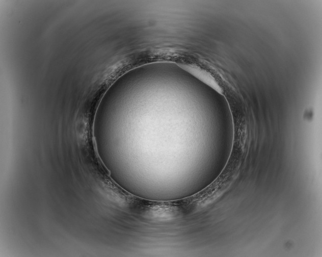 X0000099410708200805091219