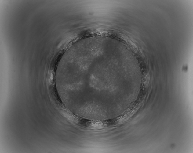 X0000099410709200805091219