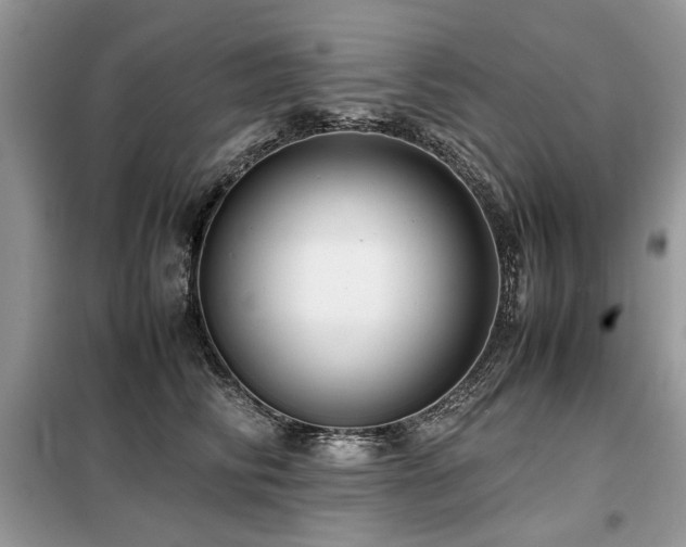 X0000099410710200805091219
