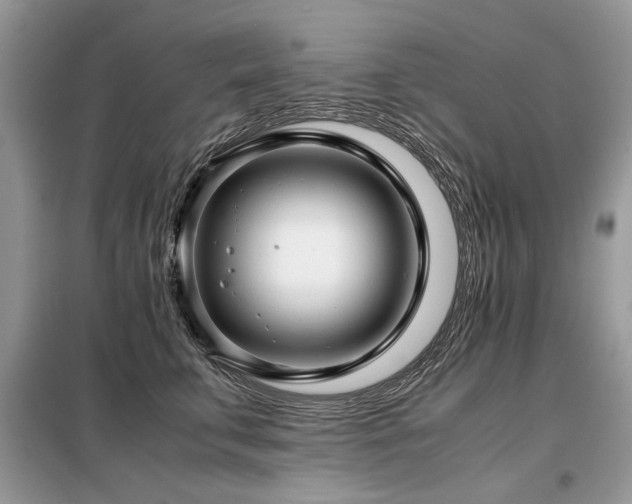 X0000099410711200805091219
