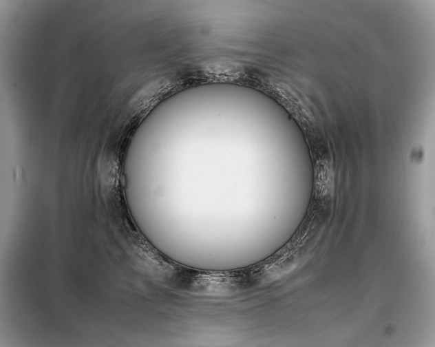 X0000099410713200805091219