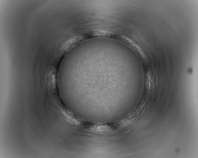 X0000099410716200805091219