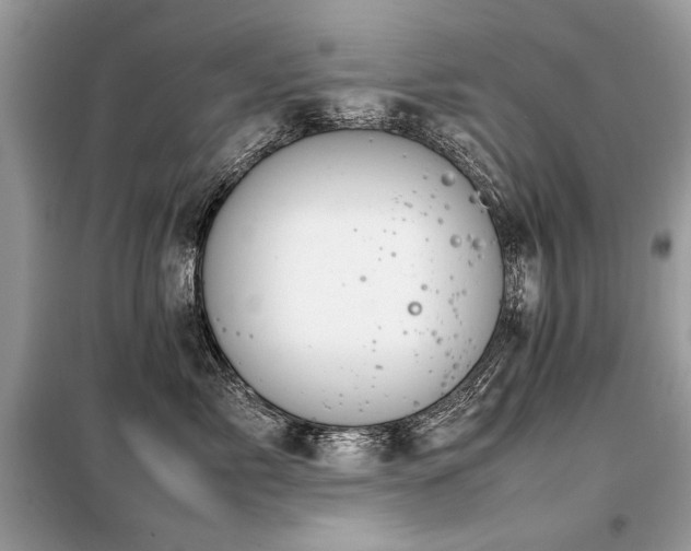 X0000099410717200805091219
