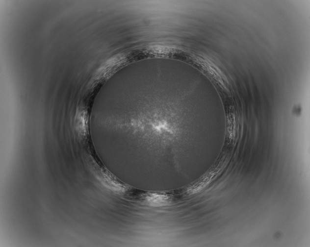 X0000099410718200805091219