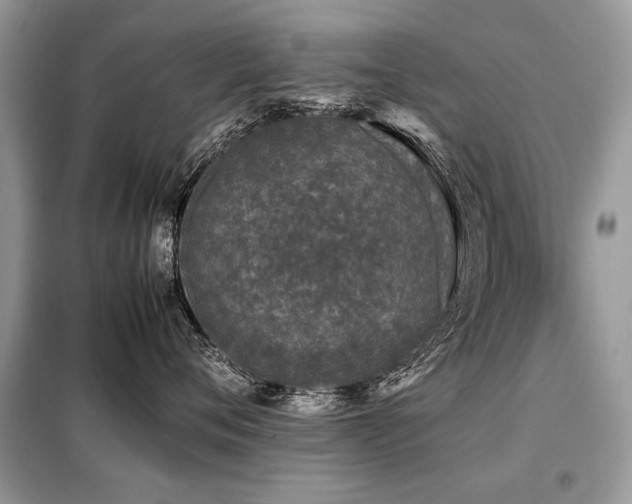 X0000099410720200805091219