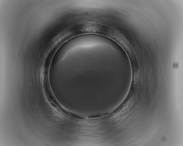 X0000099410722200805091218
