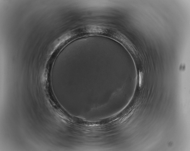 X0000099410723200805091218