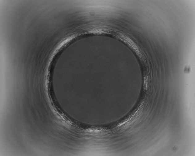 X0000099410724200805091218