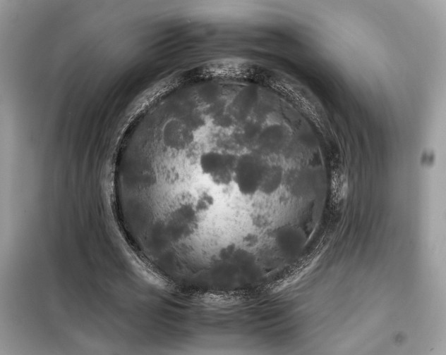 X0000099410725200805091218