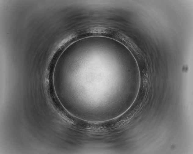 X0000099410727200805091218