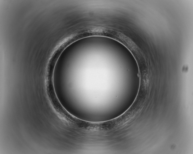 X0000099410728200805091218