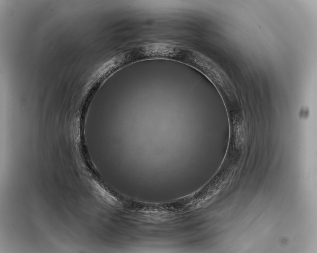 X0000099410729200805091218