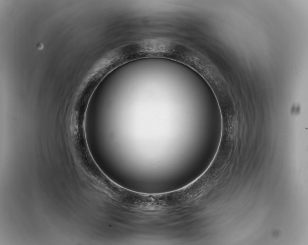 X0000099410731200805091218