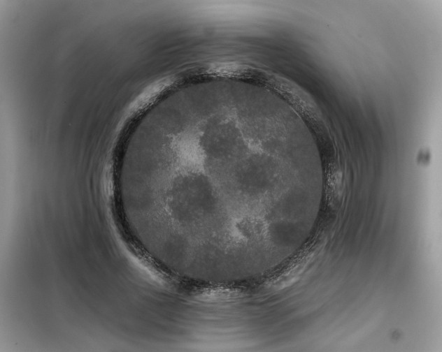 X0000099410734200805091219