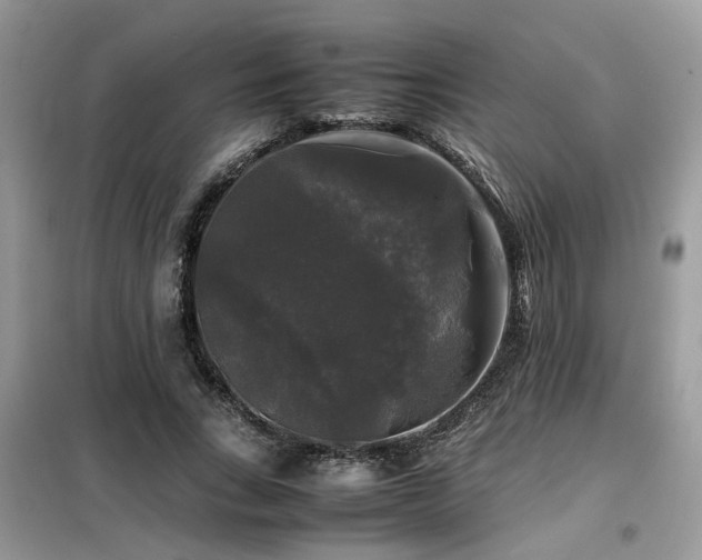 X0000099410735200805091219
