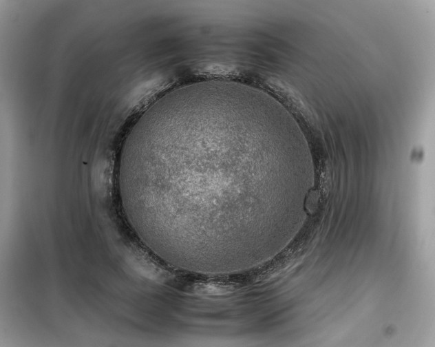 X0000099410739200805091219