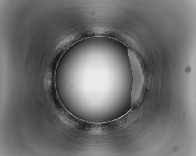 X0000099410740200805091219