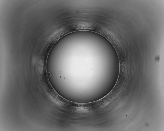 X0000099410741200805091219