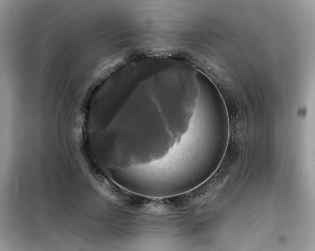 X0000099410742200805091219