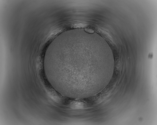 X0000099410743200805091219
