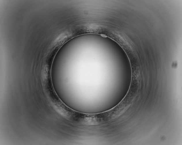 X0000099410744200805091219