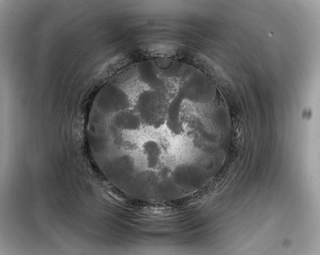 X0000099410745200805091219