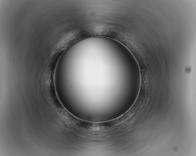 X0000099410746200805091219