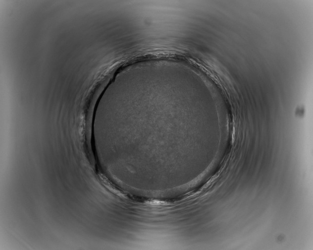 X0000099410748200805091219