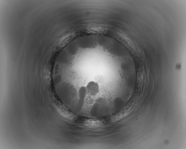 X0000099410749200805091219