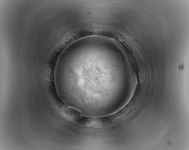 X0000099410750200805091219