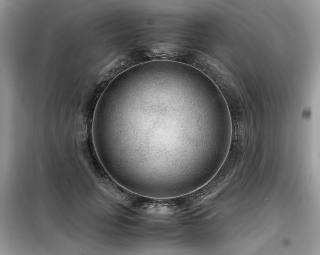 X0000099410751200805091219