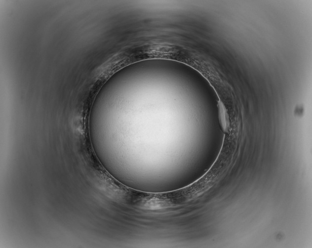 X0000099410755200805091219