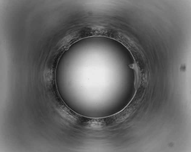 X0000099410756200805091219