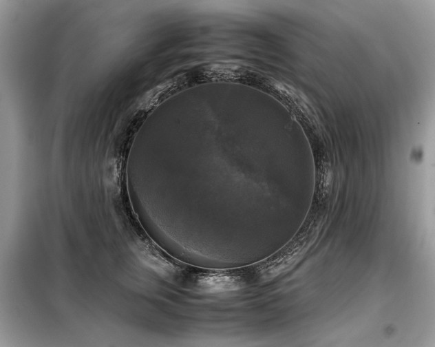 X0000099410759200805091219